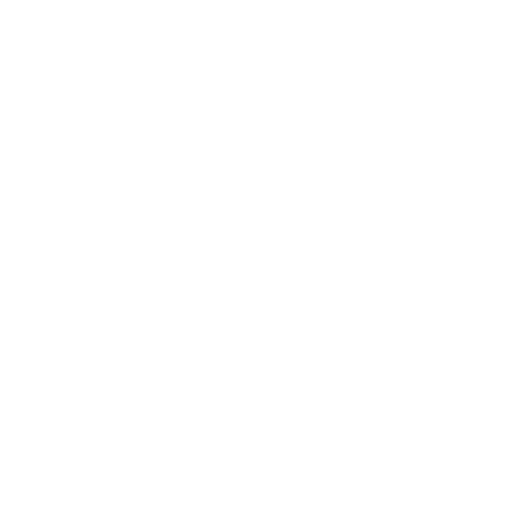Website Development icon