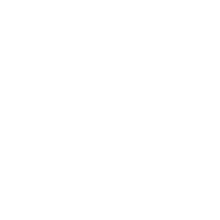 Development icon